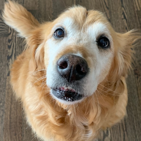 Meet your Posher, Rachel - Picture 1 of 1